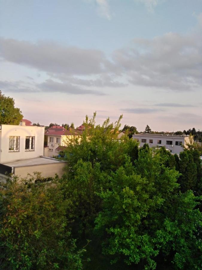 לינה וארוחת בוקר רשין La Madriguera מראה חיצוני תמונה